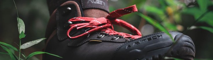 blog 3