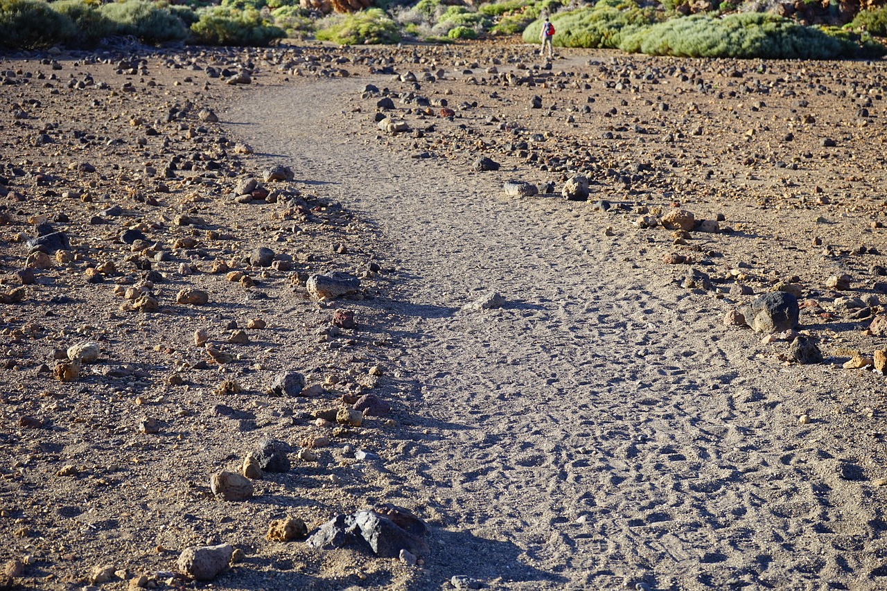 Hiking in Heat: Staying Safe When the Trail Turns Into a Furnace