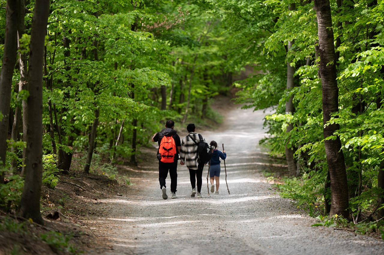Hiking With Kids: Turning a Short Walk Into a Big Adventure